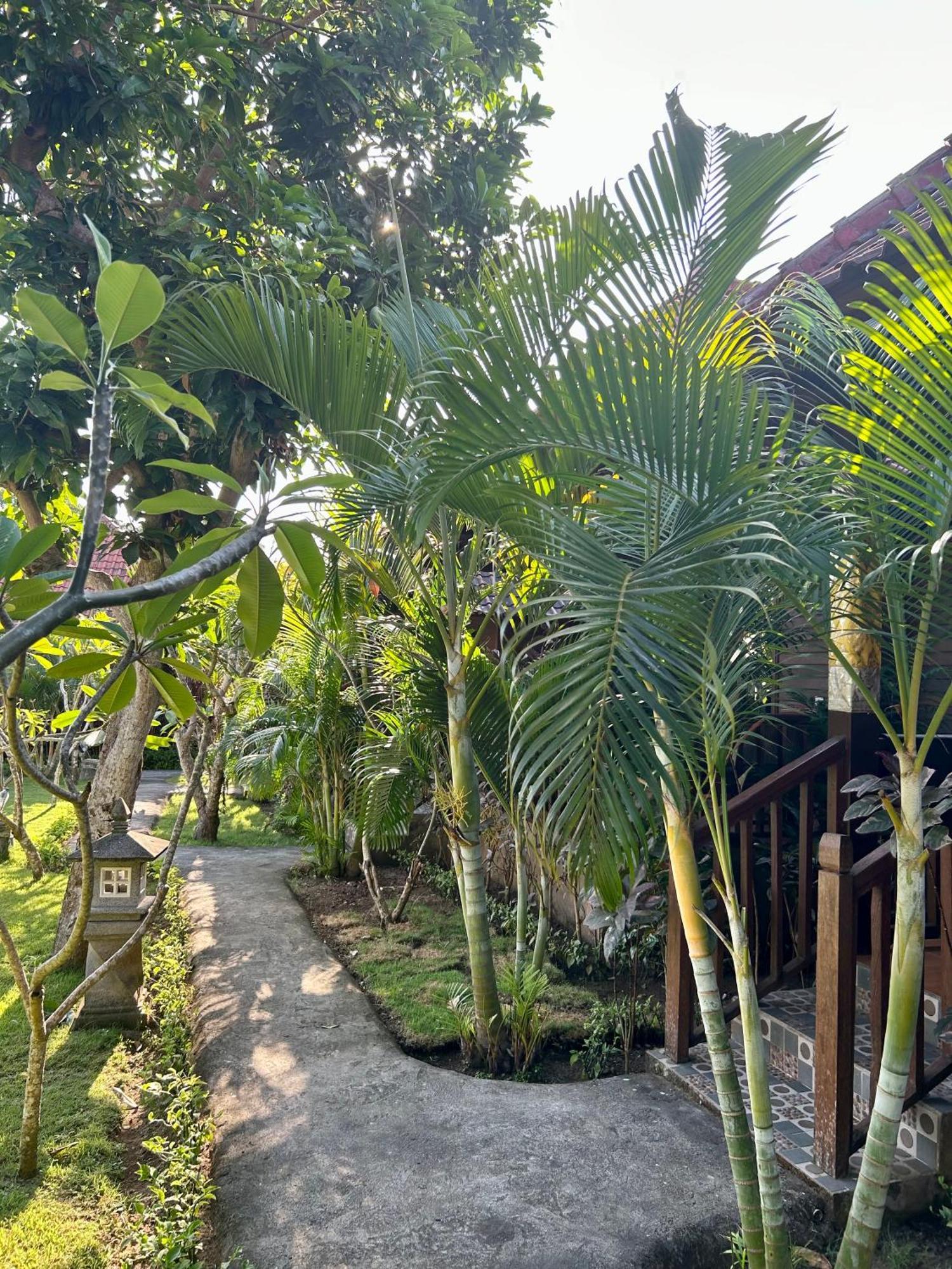 Island Garden Huts Lembongan Bed & Breakfast Nusa Lembongan  Exterior photo