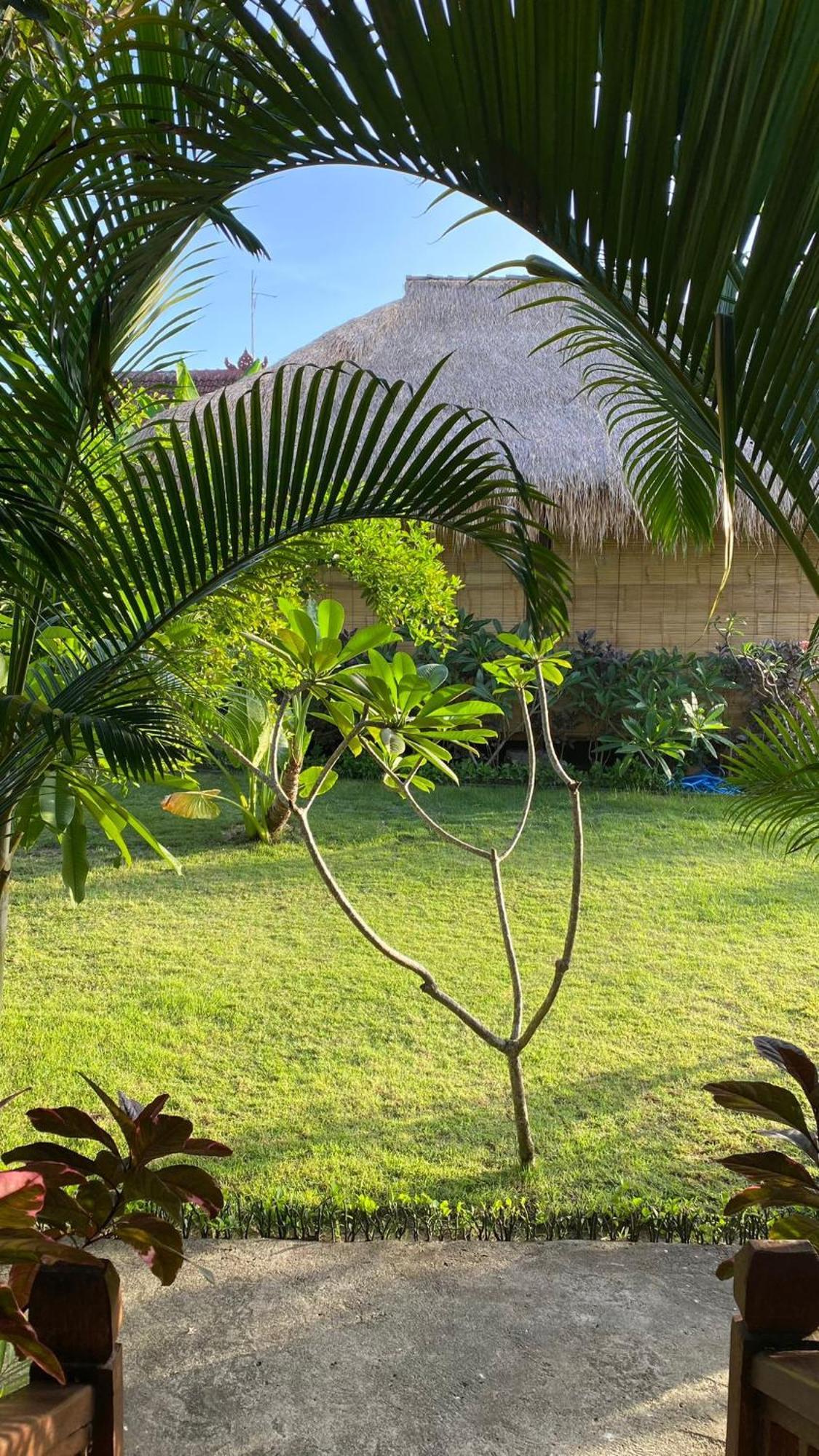 Island Garden Huts Lembongan Bed & Breakfast Nusa Lembongan  Exterior photo